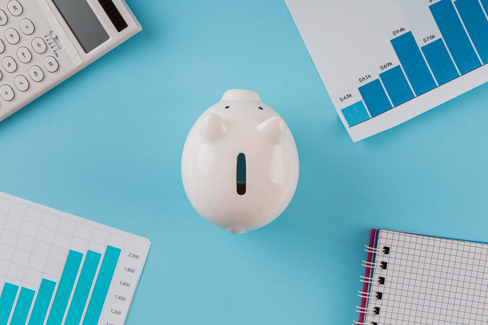 Financial Safety Net